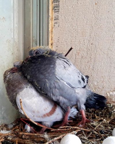 629765319_17867640210565311_4812804315024957094_n