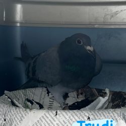 645958929_17869741578565311_2103700296909678212_n