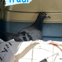 646025993_17869741587565311_3926322695472622232_n