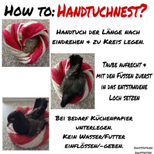 {"remix_data":[],"remix_entry_point":"challenges","source_tags":["local"],"origin":"unknown","total_draw_time":0,"total_draw_actions":0,"layers_used":0,"brushes_used":0,"photos_added":0,"total_editor_actions":{},"tools_used":{},"is_sticker":false,"edited_since_last_sticker_save":false,"containsFTESticker":false}