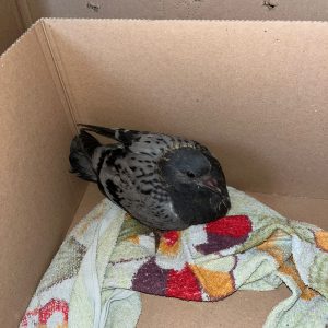 PHOTO-2025-10-12-16-21-49