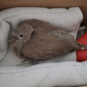 PHOTO-2025-10-14-10-06-34