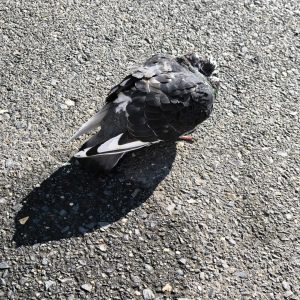 WhatsApp Bild 2025-10-10 um 22.35.36_d71a3a56