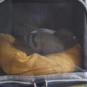 WhatsApp Bild 2025-10-10 um 22.48.33_6698f878