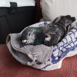 WhatsApp Bild 2025-10-10 um 23.13.14_44d3e98f