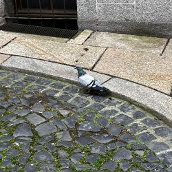 WhatsApp Bild 2025-10-24 um 11.30.47_38e6cb1c