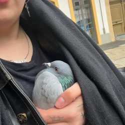 WhatsApp Bild 2025-10-24 um 11.59.54_a02cc98c