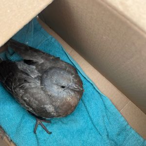 WhatsApp Bild 2025-10-27 um 10.43.14_726fa4da