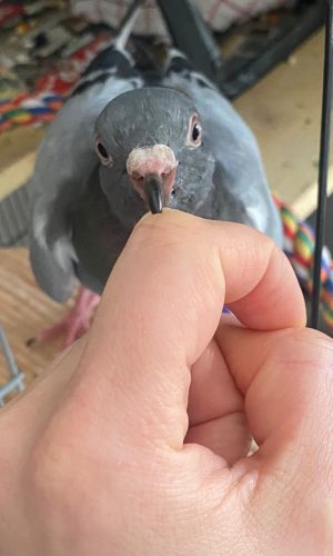 WhatsApp Image 2026-01-12 at 14.14.22