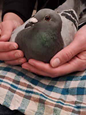 WhatsApp Image 2026-03-07 at 14.09.54xc