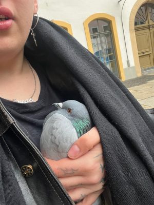 WhatsApp Image 2026-03-07 at 14.09.54xv