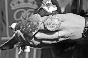 a779ee2d89bb07dc5b8cf11acaebaa044aaad69b