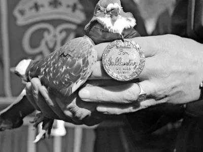 a779ee2d89bb07dc5b8cf11acaebaa044aaad69b