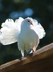 g616b89d6dd836cf80008abc14300c907b9f20a15613917a3f1ff78217e5b375255876d5760a2becb6bdc744e3ea0b3959f627ec3f20e6b3ada7b187732ffed34_1280-4873161-1