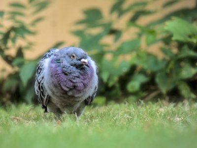 g6867a30e72ebefbfdb2f2ebe066373933217d77e27d64ee81a9a78f78c2571f47cff221640b81b9bf81197c777ba99378a0a29c42c573497e2791b19bb47fbeb_1280-7438412