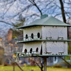 pexels-amardeep-singh-3121436-6047350-rbn8z74ku6p8eeh39dw5lus635ub4mncs3whgonyx4