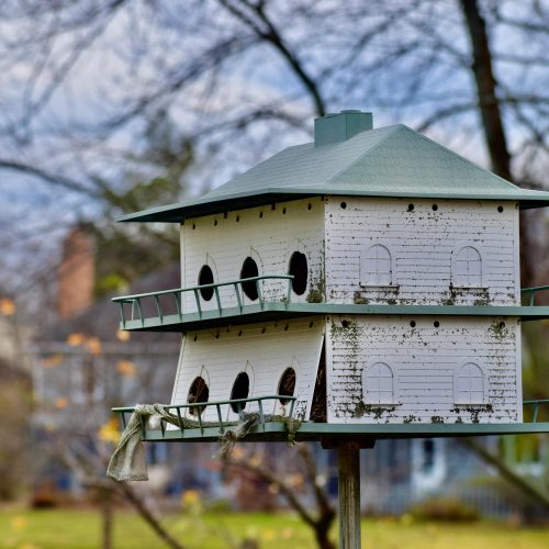 pexels-amardeep-singh-3121436-6047350