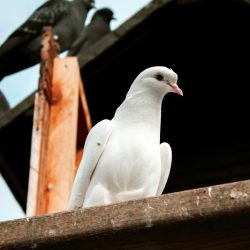 pexels-feslegenli-rotalar-504254749-20482651-rbn8gdf0echsmysooi00v5njh6lq0hd5117wq10ak0