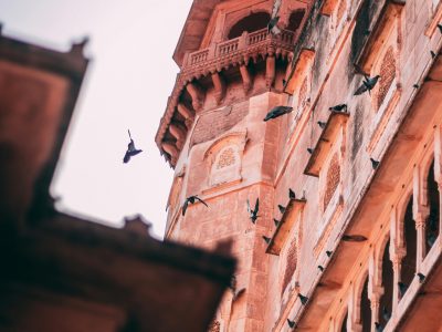 A stunning view of an ancient fortress with birds in flight against a clear sky.