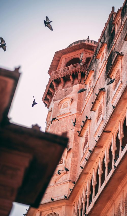 A stunning view of an ancient fortress with birds in flight against a clear sky.