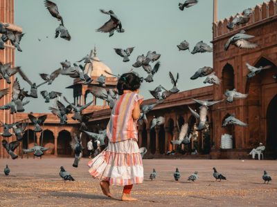 pexels-photo-2091074-2091074