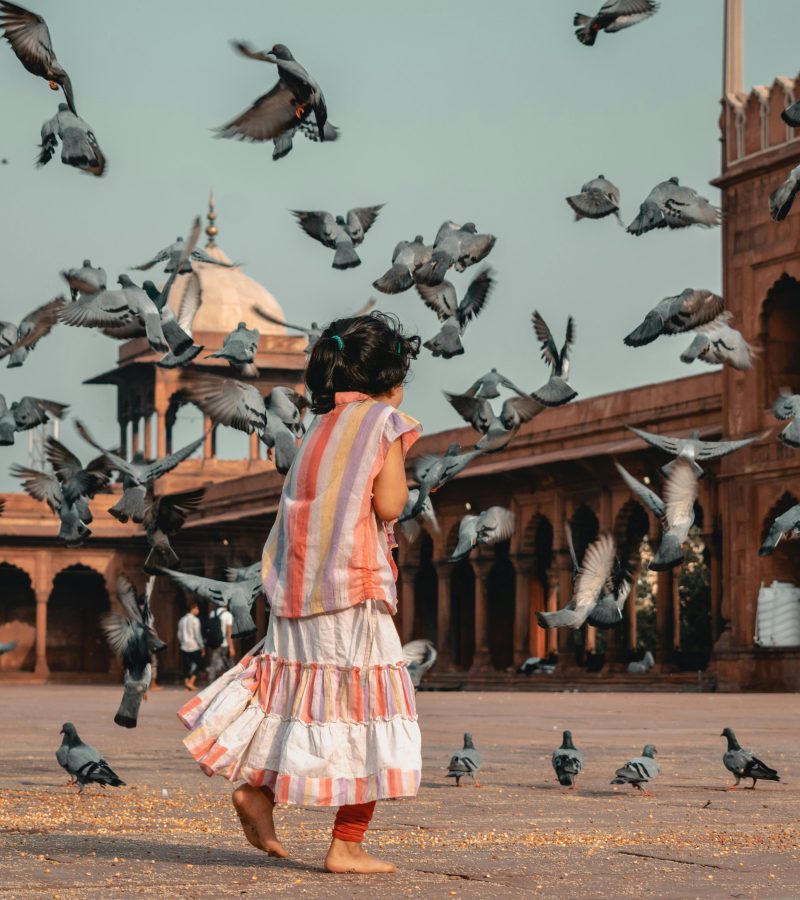 pexels-photo-2091074-2091074