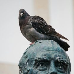 pexels-tobias-reinert-1248572188-26630100-2-rbn9p0qzt6u8yr4hvylcpx1emkry91dlvpov8quu0g